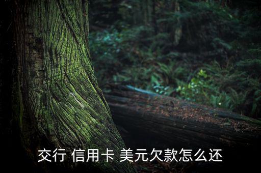 交通銀行信用卡美元卡怎么套現
