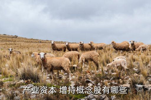 產業(yè)資本 增持概念股有哪些