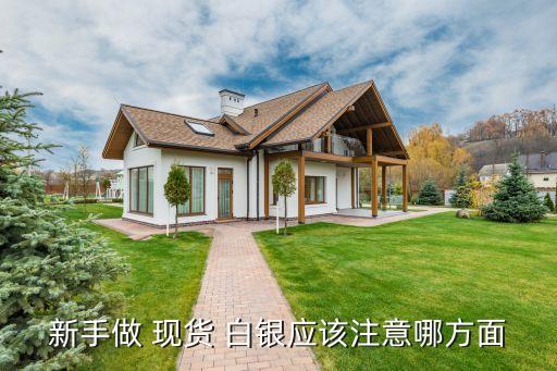 新手做 現貨 白銀應該注意哪方面