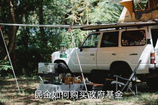 民企如何購(gòu)買(mǎi)政府基金