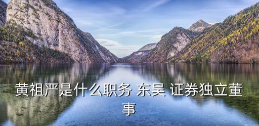 黃祖嚴是什么職務 東吳 證券獨立董事