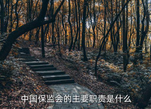 中國(guó)保監(jiān)會(huì)的主要職責(zé)是什么
