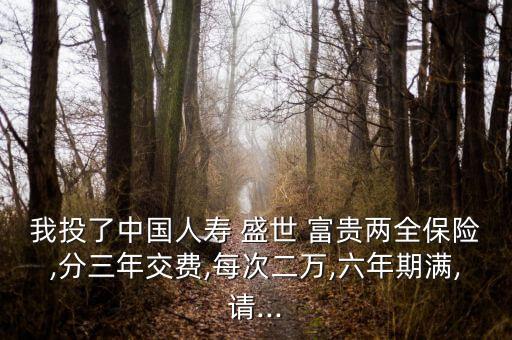 中國人壽保險盛世富貴