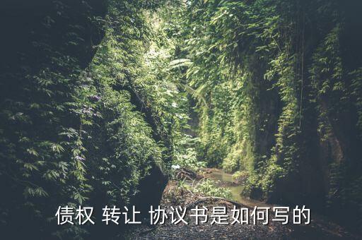  債權 轉讓 協議書是如何寫的