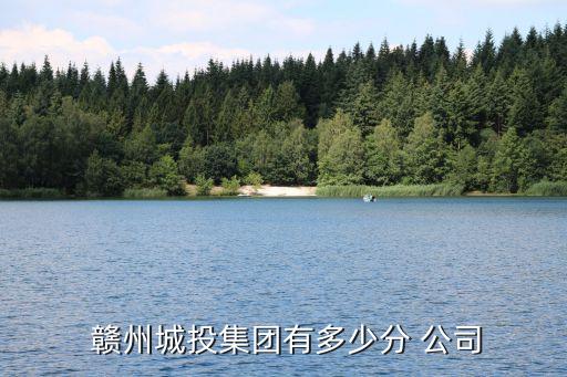  贛州城投集團有多少分 公司