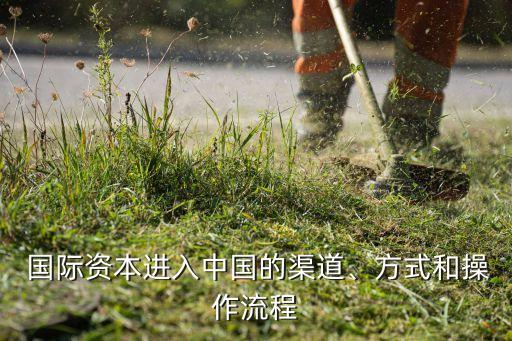  國際資本進入中國的渠道、方式和操作流程