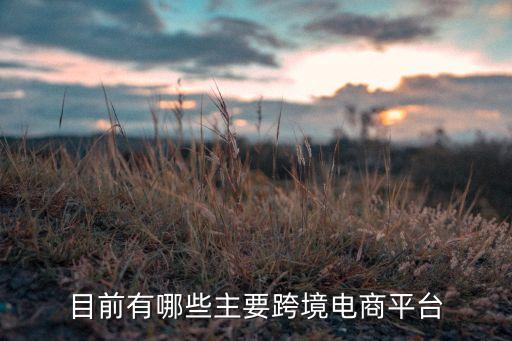 目前有哪些主要跨境電商平臺