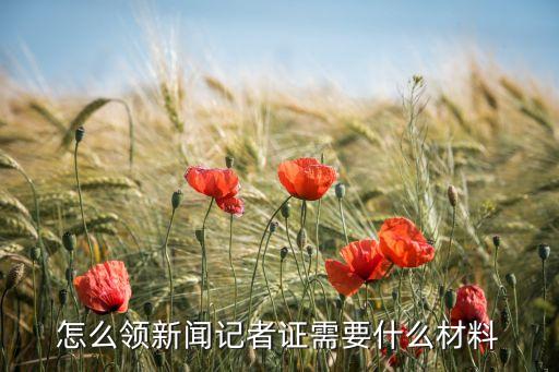 中國記者俱樂部網(wǎng),中國評(píng)論網(wǎng)記者查詢