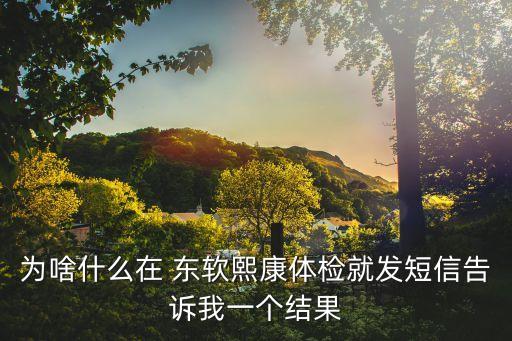 東軟熙康醫(yī)療系統有限公司,沈陽東軟熙康醫(yī)療系統