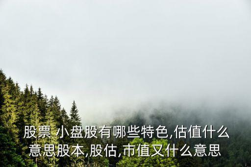  股票 小盤(pán)股有哪些特色,估值什么意思股本,股估,市值又什么意思