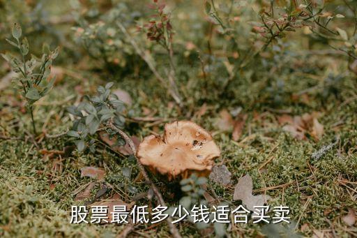  股票最低多少錢(qián)適合買(mǎi)賣(mài)