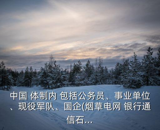 中國 體制內(nèi) 包括公務(wù)員、事業(yè)單位、現(xiàn)役軍隊(duì)、國企(煙草電網(wǎng) 銀行通信石...