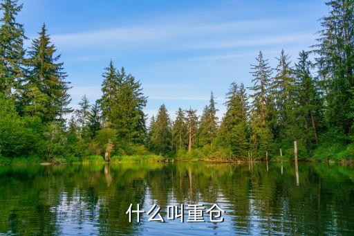什么是基金重倉股,社?；鹬貍}股一覽