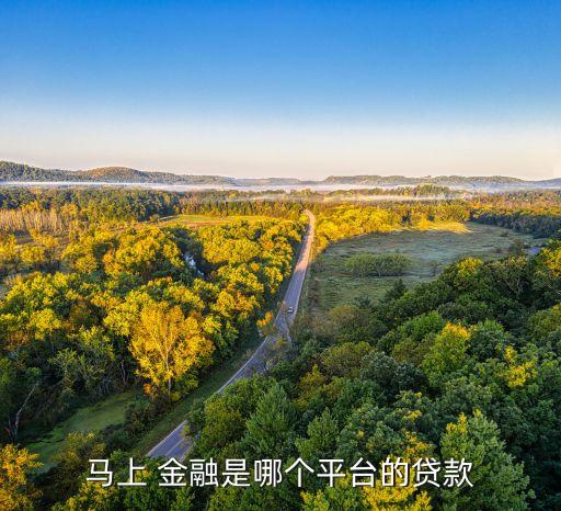 國際金融公司排名,風投排名前十的公司