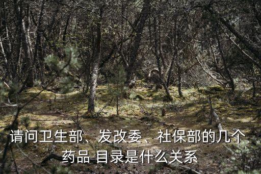請問衛(wèi)生部、發(fā)改委、社保部的幾個(gè) 藥品 目錄是什么關(guān)系