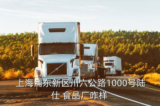  上海浦東新區(qū)川六公路1000號(hào)陸仕 食品廠咋樣
