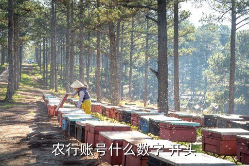 農(nóng)行賬號(hào)什么數(shù)字 開(kāi)頭