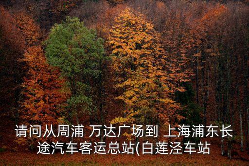 請(qǐng)問(wèn)從周浦 萬(wàn)達(dá)廣場(chǎng)到 上海浦東長(zhǎng)途汽車(chē)客運(yùn)總站(白蓮涇車(chē)站
