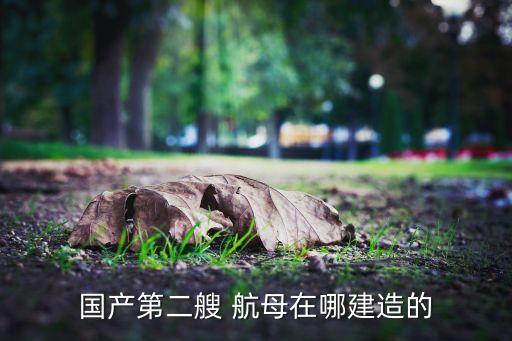 國產第二艘 航母在哪建造的