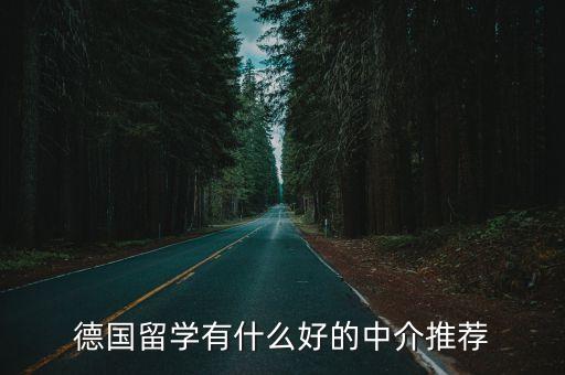 德師咨詢(xún)有限公司,盛輝睿德國(guó)際咨詢(xún)(北京)有限公司