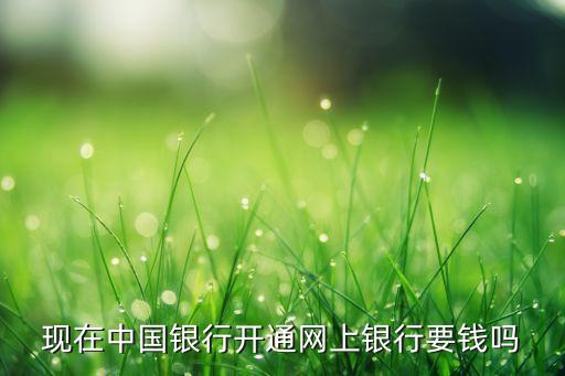 中國銀行卡網(wǎng)銀費(fèi)用,怎么知道銀行卡有沒有開通網(wǎng)銀