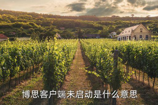  博思客戶(hù)端未啟動(dòng)是什么意思