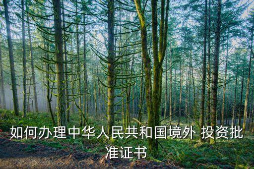 如何辦理中華人民共和國(guó)境外 投資批準(zhǔn)證書(shū)