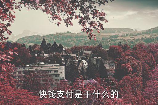 快錢(qián)支付是干什么的