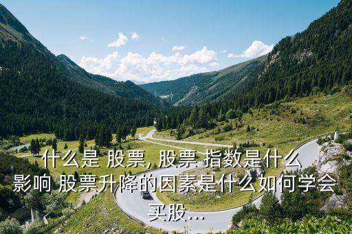 什么是 股票, 股票 指數(shù)是什么 影響 股票升降的因素是什么如何學(xué)會(huì)買(mǎi)股...