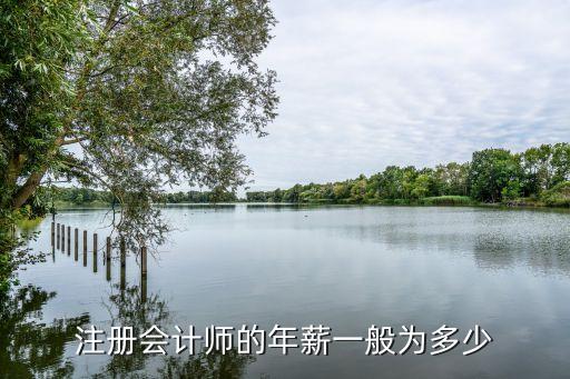 注冊會(huì)計(jì)師的年薪一般為多少