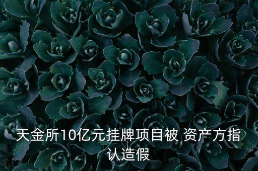 天金所10億元掛牌項目被 資產方指認造假
