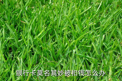 銀行卡莫名其妙被扣錢(qián)怎么辦