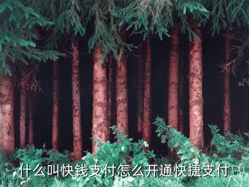 什么叫快錢(qián)支付怎么開(kāi)通快捷支付