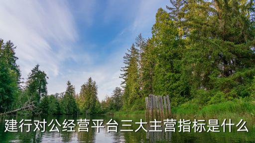 大經(jīng)集團股份有限公司,浙江大經(jīng)建設集團股份有限公司是國企嗎