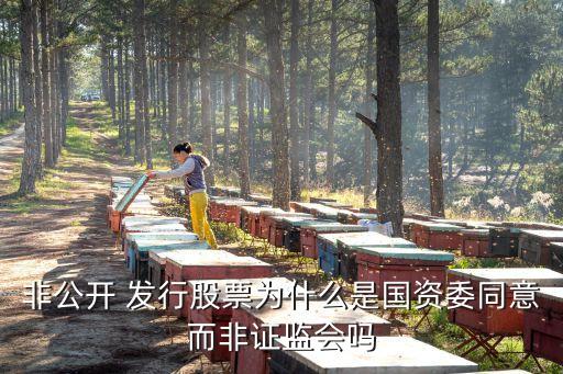 非公開(kāi) 發(fā)行股票為什么是國(guó)資委同意而非證監(jiān)會(huì)嗎