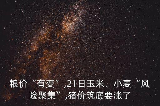 糧價“有變”,21日玉米、小麥“風險聚集”,豬價筑底要漲了