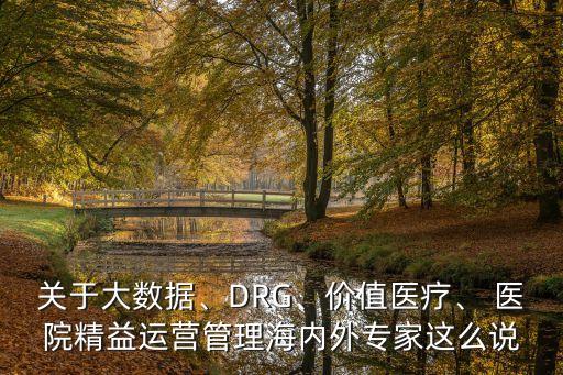 關(guān)于大數(shù)據(jù)、DRG、價值醫(yī)療、 醫(yī)院精益運營管理海內(nèi)外專家這么說