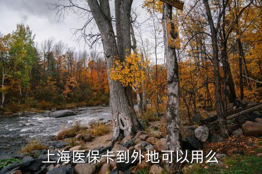 上海開(kāi)通異地就醫(yī)委托報(bào)銷(xiāo),上海社?？ㄔ趺撮_(kāi)通異地就醫(yī)