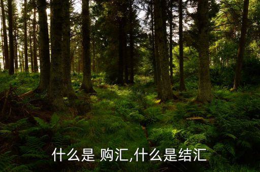 什么是 購(gòu)匯,什么是結(jié)匯