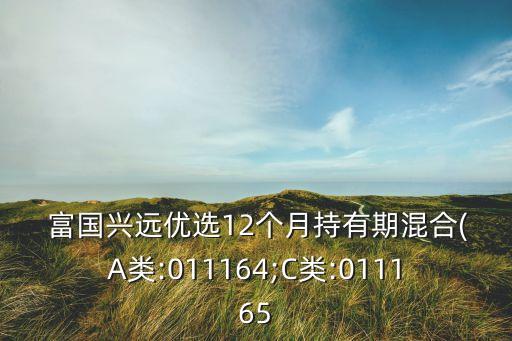  富國(guó)興遠(yuǎn)優(yōu)選12個(gè)月持有期混合(A類(lèi):011164;C類(lèi):011165
