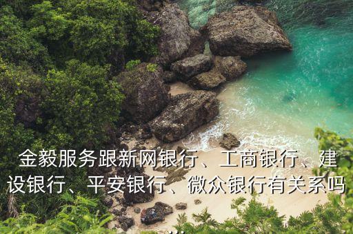  金毅服務(wù)跟新網(wǎng)銀行、工商銀行、建設(shè)銀行、平安銀行、微眾銀行有關(guān)系嗎...