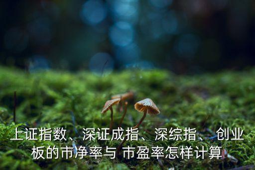 上證指數(shù)、深證成指、深綜指、 創(chuàng)業(yè)板的市凈率與 市盈率怎樣計算