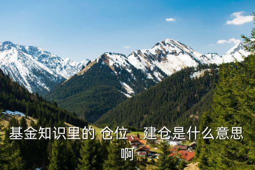 基金知識里的 倉位、建倉是什么意思啊