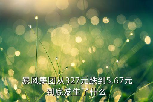  暴風(fēng)集團從327元跌到5.67元到底發(fā)生了什么