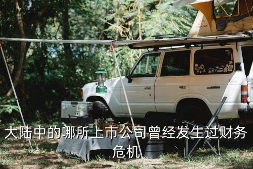 大陸中的哪所上市公司曾經(jīng)發(fā)生過財務(wù)危機(jī)