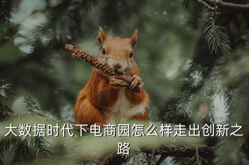 大數據時代下電商園怎么樣走出創(chuàng)新之路