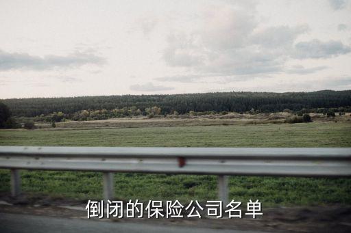 倒閉的保險公司名單