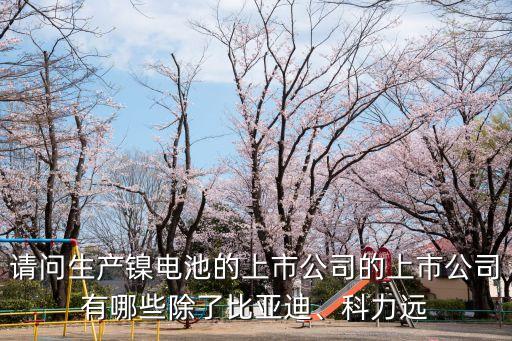 請問生產(chǎn)鎳電池的上市公司的上市公司有哪些除了比亞迪、科力遠(yuǎn)
