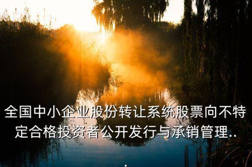 全國中小企業(yè)股份轉讓系統(tǒng)股票向不特定合格投資者公開發(fā)行與承銷管理...