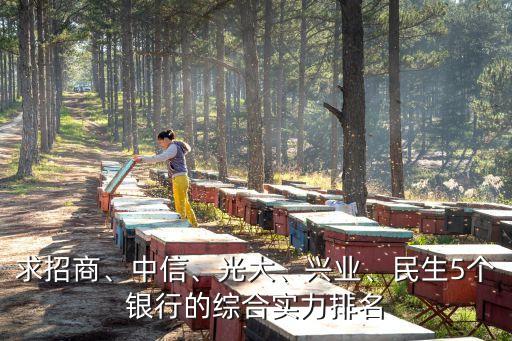 求招商、中信、光大、興業(yè)、民生5個(gè)銀行的綜合實(shí)力排名